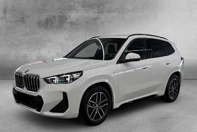 BMW X1 xDrive20d Automatik M Sport 18